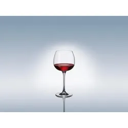Villeroy & Boch Purismo Wine Rotweinkelch körperreich & samtig 20,8cm 550ml