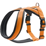 Hunter Geschirr London Comfort, Orange, S-M/2