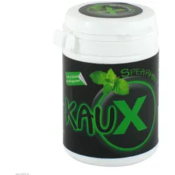 Kaux Zahnpflegekaugummi Spearmint mit Xylitol 40 St