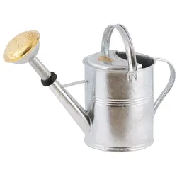 Gießkanne 5 Liter Zink