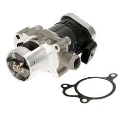 AGR Ventil BORG WARNER 7610D