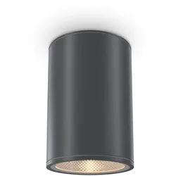 Maytoni Bar LED Deckenleuchte und Wandleuchte, Graphit, IP65, 12W, 1300 lm, 3000K