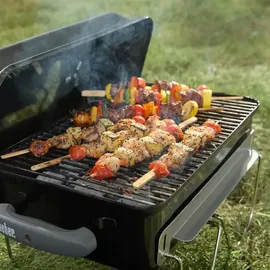 Weber Go-Anywhere 1131004