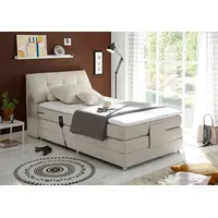 Esposa Boxspringbett CARPINO - beige