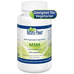 MSM organischer Schwefel