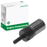 schaeffler ina Spanner, Steuerkette