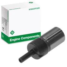 schaeffler ina Spanner, Steuerkette