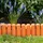 POWERTEC Garden Gartenzaun-Set 27,5 x 23,5 cm PP