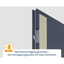 Hörmann ISOPRO Secur IPS 770S links 110 x 210 cm night oak