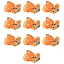 vidaXL Spanngurte 10 Stk. 0,4 Tonnen 6 m x 2,5 cm