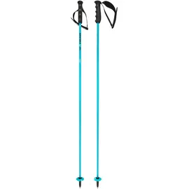 Head Worldcup Rebels Carbon speed blue