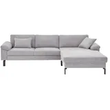 Max Schelling Ecksofa Maximum ¦ silber ¦ Maße (cm): B: 255 H: 89 T: 194.0