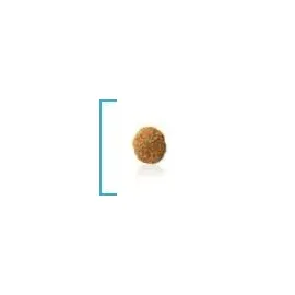 Royal Canin Hypoallergenic Small Dog 1 kg