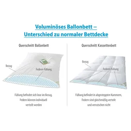 franknatur Ballonbett 155x220 Winterdecke 100% neue Gänsefedern 3700g Bettdecke Winter
