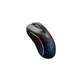 Glorious PC Gaming Race Model D 2 schwarz