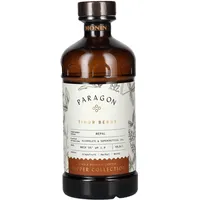 Monin Paragon TIMUR BERRY Single Botanic Cordial Mystic Collection 0,485l