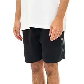 Dickies Pelican Rapids Shorts