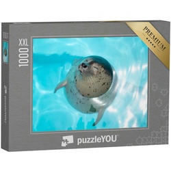 puzzleYOU Puzzle Puzzle 1000 Teile XXL „Seehundbaby, entspannt im Wasser“, 1000 Puzzleteile, puzzleYOU-Kollektionen Robben, Tiere des Nordens, Fische & Wassertiere