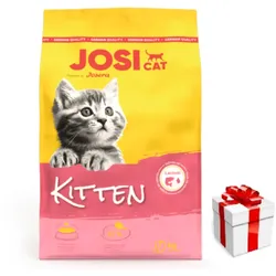 JOSERA JosiCat Kitten 10kg + Überraschung für die Katze