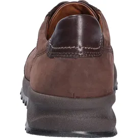 WALDLÄUFER Helle - braun