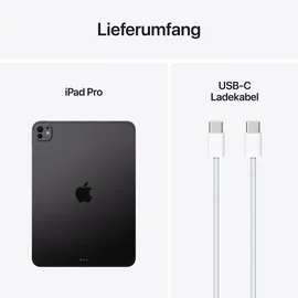Apple iPad Pro 11" (5. Generation 2024) 1 TB Wi-Fi Nanotexturglas Space Schwarz
