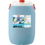 Sonax AntiFrost&KlarSicht Konzentrat Scheibenreiniger 60l (332805)