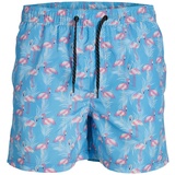 JACK & JONES JPSTFIJI JJSWIM AOP Pack LY SN