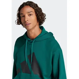 adidas Essentials Big Logo French Terry Kapuzenpullover Collegiate Green / Black L