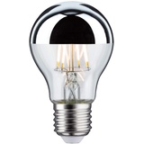 PAULMANN 28670 LED Lampe Filament AGL 6,5W 2700K Warmweiß E27, 1 Stück (1er Pack)