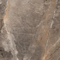 Euro Stone Bodenfliese Feinsteinzeug Alanya braun 60 x 60 cm