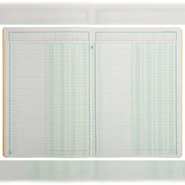 Exacompta 17040E Mehrkolonnenheft gebunden mit 4 spalten auf 1 Seite und 34 Zeilen, 40 Blatt, 110g, DIN A4, - Farben sortiert