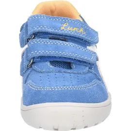 Lurchi Jamin Barefoot Royal Blue/Yellow 26