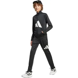adidas Essentials Big Logo Climacool Trainingsanzug Black / White 176