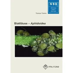 Blattläuse – Aphidoidea