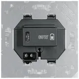 Jung USB-Ladegerät PD USB PD60 C, SW