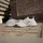 adidas Ultraboost 5 Cloud White / Cloud White / Cloud White 40