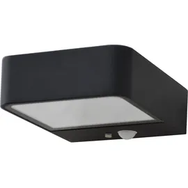 REV Ritter Solarleuchte schwarz 200lm mit Bewegungsmelder IP65
