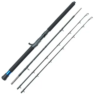 Dieter Eisele Two in One Rute