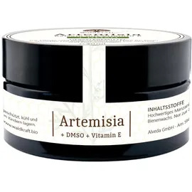 Waldkraft Artemisia Balsam - Beifuß-Salbe mit Dmso, Vitamin E, Bienenwachs und Manzanilla-Öl 30 ml