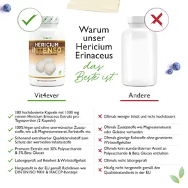Vit4ever Hericium Intenso Kapseln 180 St.