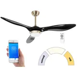 Sichler Haushaltsgeräte 2in1-WLAN-Deckenventilator & LED-Lampe, Sprachsteuerung, Timer,1000 lm