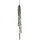 Mica decorations Hängedekoration Mica Decorations Haengend Senecio polypropylene 71 grün