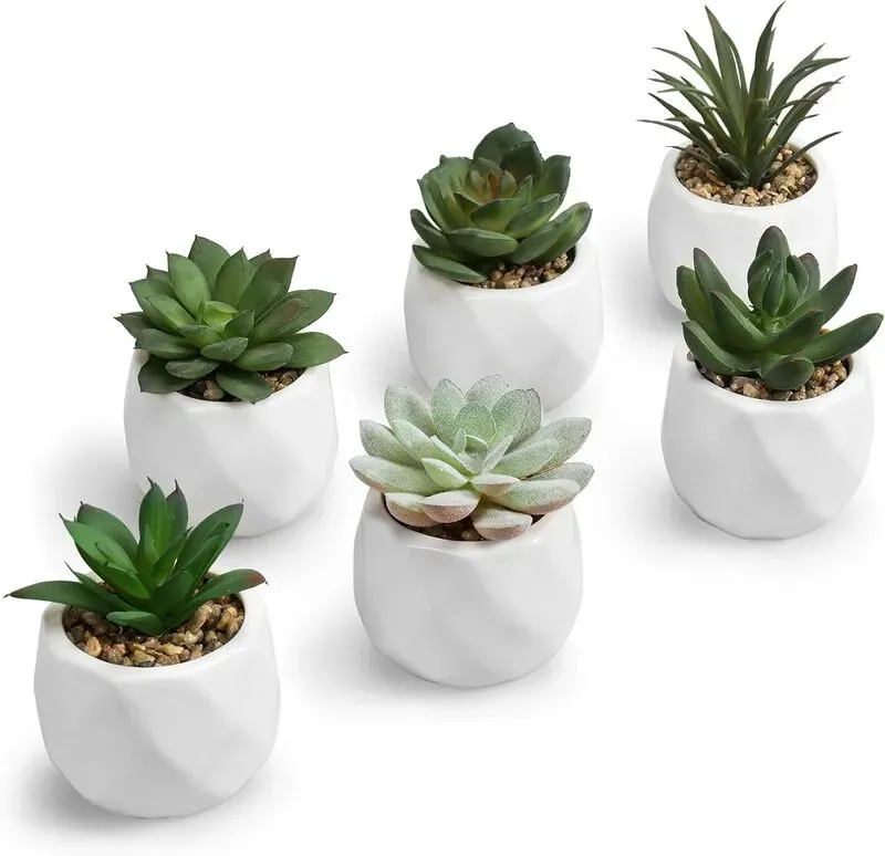 MyGift Mini Künstliche Sukkulenten in Weißen Keramiktöpfen, Set aus 6