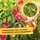 Solabiol Lecithin Rosen-Spray 1 l