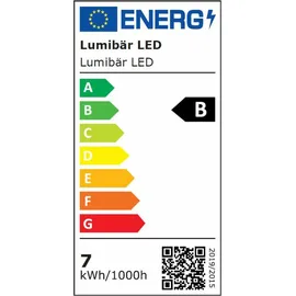 authentics Lumibär Dekoleuchte LED, Leuchtfigur in Bärenform mit Fernbedienung, Polyethylen, Weiß, 523700