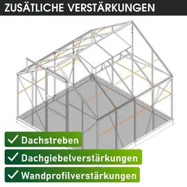 Brast Gewächshaus Aluminium Silber 6 mm 6,25 m2