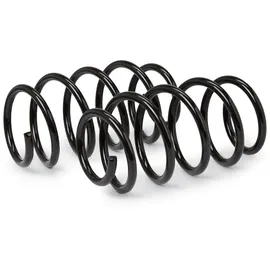 Eibach E10-65-015-01-22