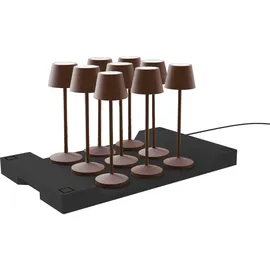 Lumisky Emily Braun 9 St.