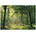 Natur Vlies Tapete Wohnzimmer Schlafzimmer 150x105