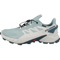 Salomon Supercross 4 Gore-Tex Damen stone blue/lunar rock/stargazer 38